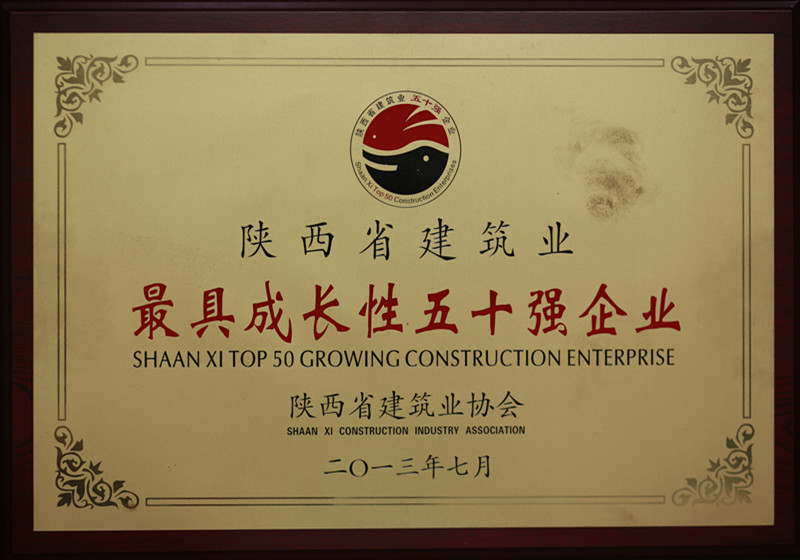 2013年陜西省最具成長(cháng)50強企業(yè)_副本.jpg