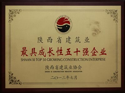 2013年陜西省建筑業(yè)最具成長(cháng)性五十強企業(yè)