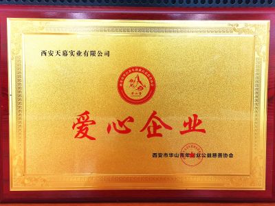 西安市華山青年創(chuàng  )意公益慈善協(xié)會(huì )授予西安天幕實(shí)業(yè)有限公司“愛(ài)心企業(yè)”